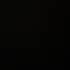 Meet your Posher, Lily